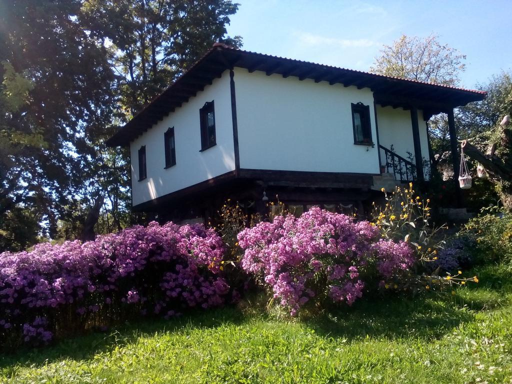 Hotel Complex Roden Kray Vlaychovtsi Zimmer foto